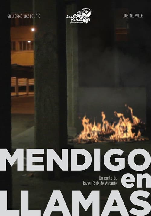 Mendigo en Llamas (2011) poster