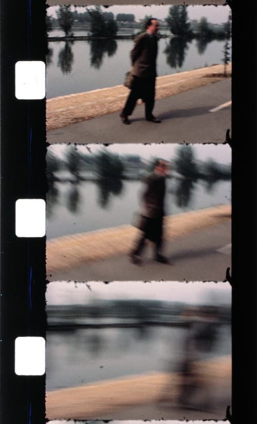 Effeuiller l'acanthe (1987) poster