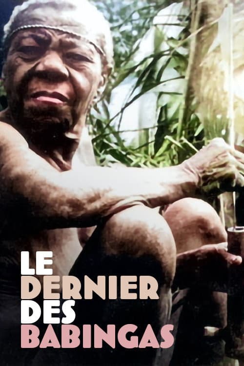 Le dernier des Babingas (1990) poster