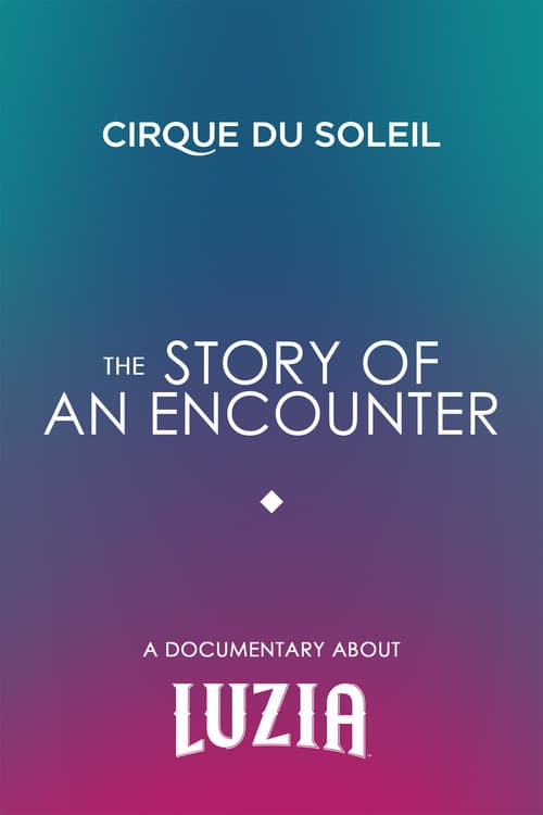 The Story Of An Encounter (2016) poster
