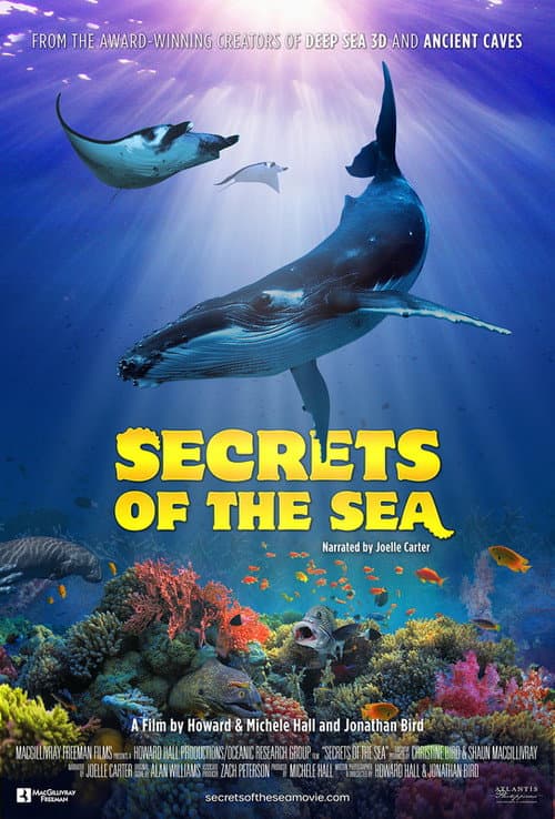 Secrets of the Sea (2022) poster