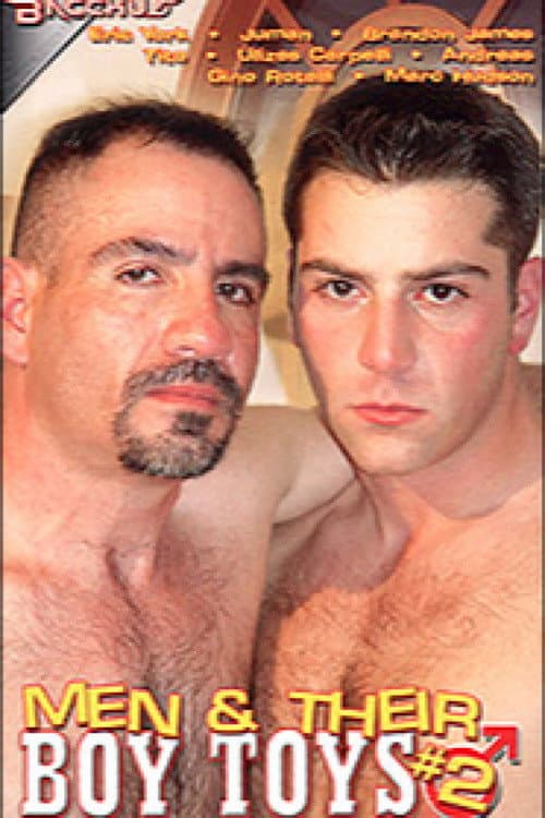 Men & Their Boy Toys 2 (2004) poster