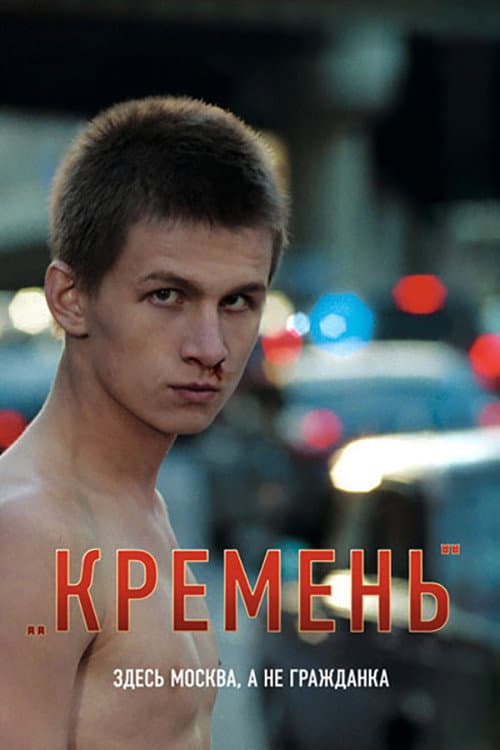 Кремень (2007) poster