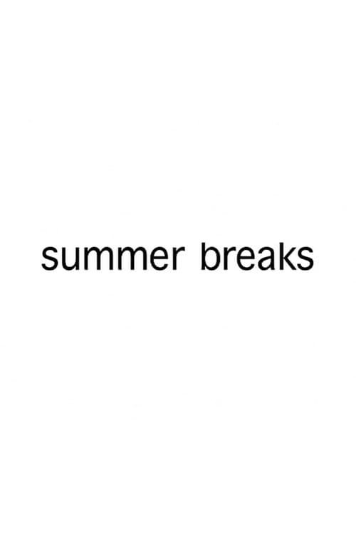 Summer Breaks (2008) poster