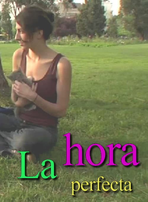 La hora perfecta (2009) poster