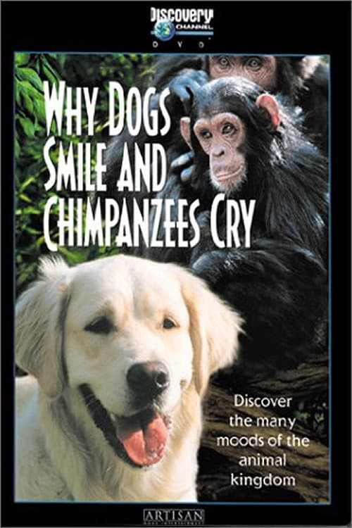 Why Dogs Smile and Chimpanzees Cry (1999) poster