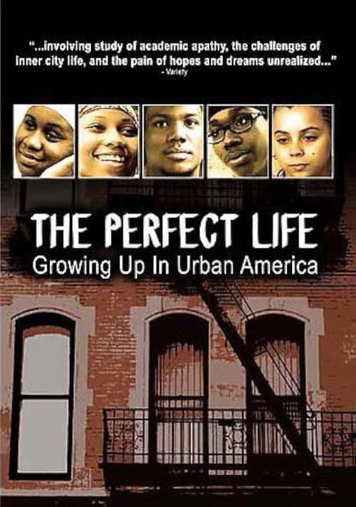 The Perfect Life (2006) poster