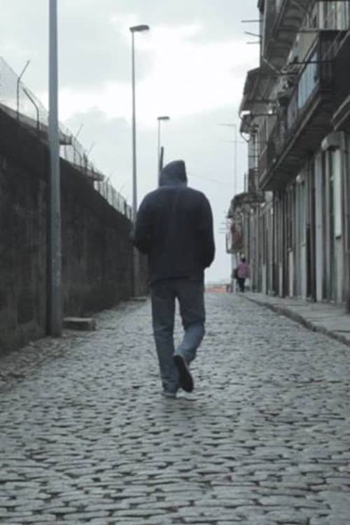 Videovigilância (2012) poster