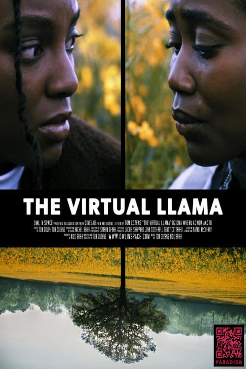 The Virtual Llama (2024) poster