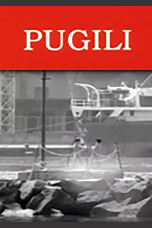 Pugili (1995) poster
