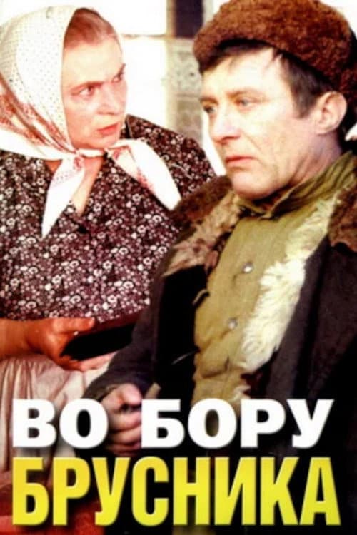 Во бору брусника (1989) poster