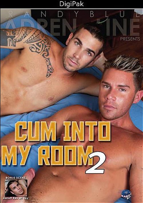 Cum Into My Room 2 (2010) poster