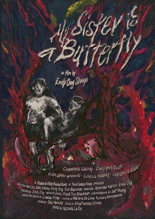 My Sister Is a Butterfly (2024) poster