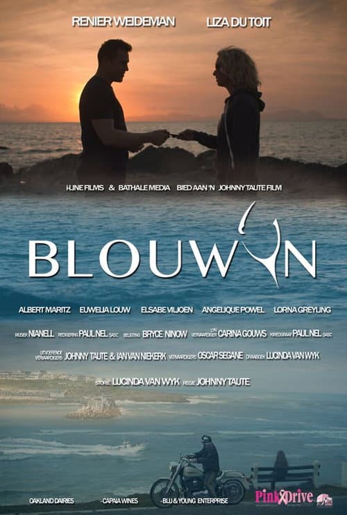 Blouwyn (2020) poster