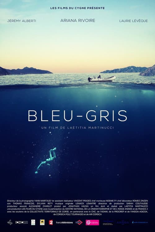 Bleu-Gris (2017) poster