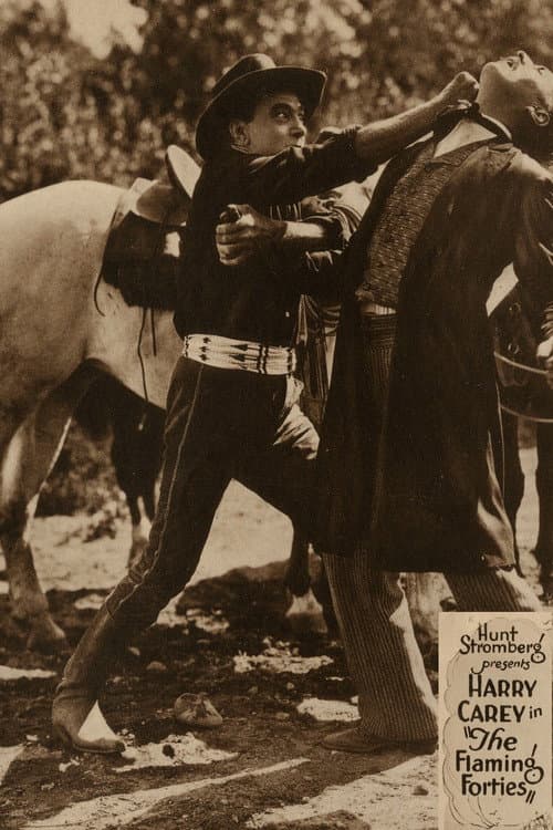 The Flaming Forties (1924) poster