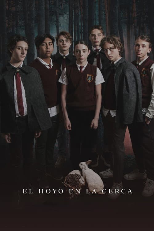 El hoyo en la cerca (2021) poster