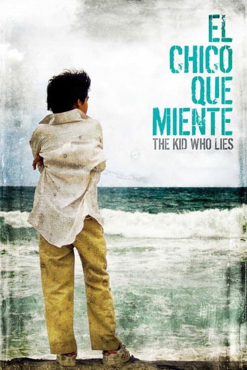 El chico que miente (2011) poster