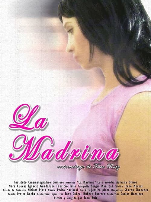 La madrina (2008) poster