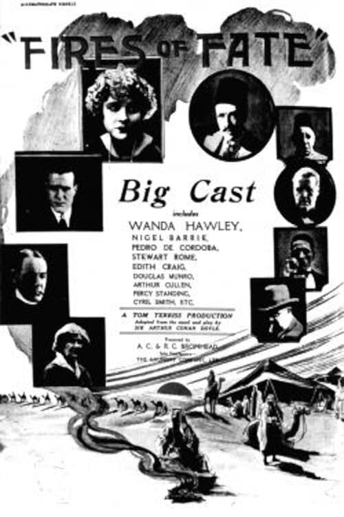 Fires of Fate (1923) poster
