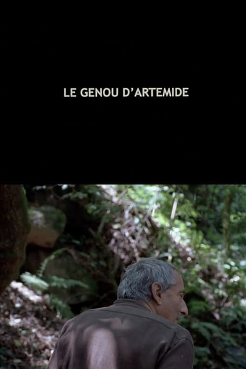 Le Genou d'Artémide (2008) poster