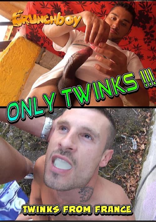 Only Twinks! (2014) poster