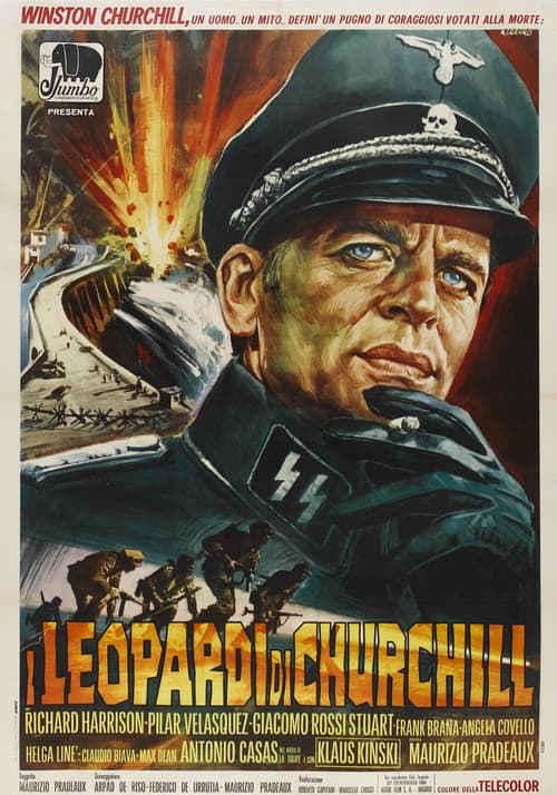 Churchill's Leopards (1970) poster