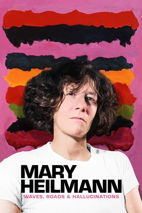 Mary Heilmann: Waves, Roads and Hallucinations (2024) poster