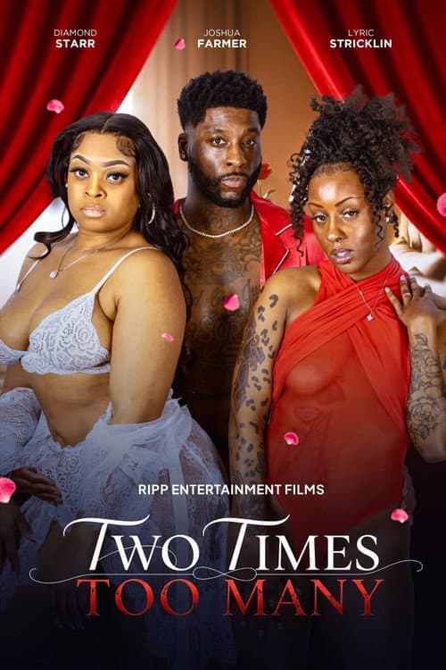 Two Times Too Many (2026) poster