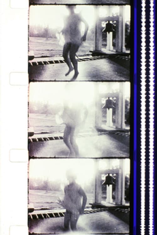 Report from Millbrook (1966) poster