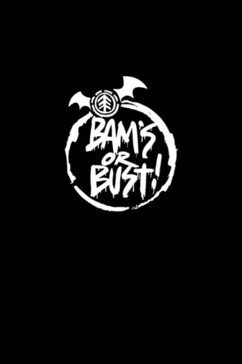 Bam's or Bust! (2008) poster