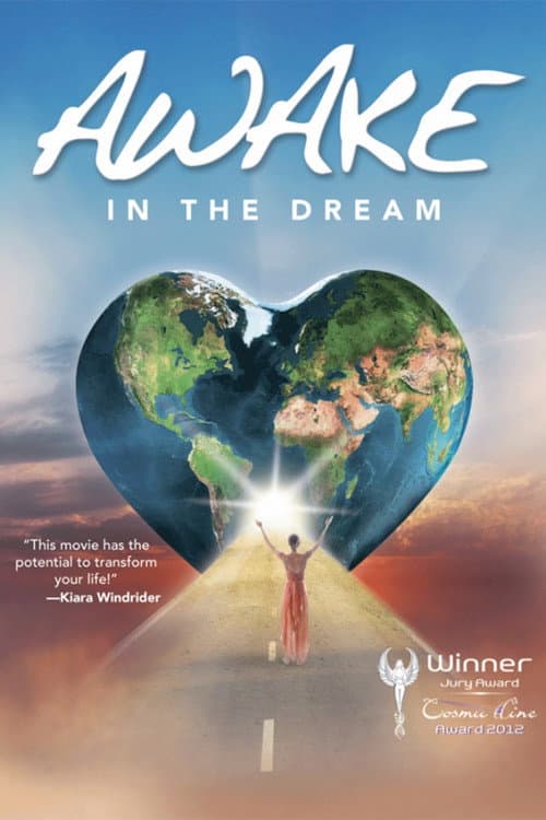 Awake in the Dream (2013) poster