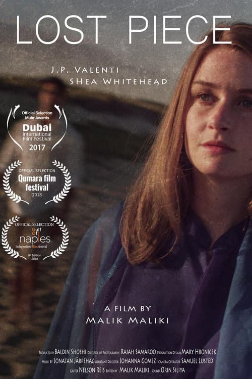 Lost Piece (2017) poster