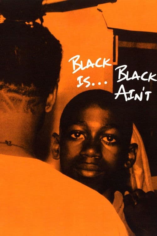 Black Is… Black Ain’t (1995) poster