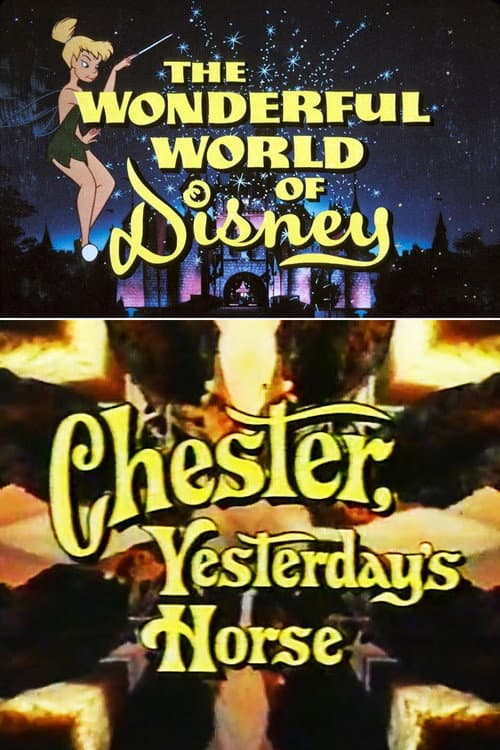 Chester, Yesterday’s Horse (1973) poster