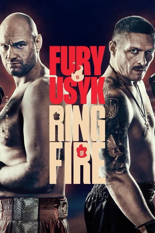 Tyson Fury vs. Oleksandr Usyk (2024) poster