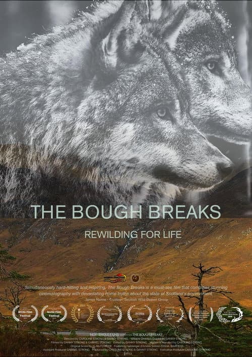 The Bough Breaks (2023) poster