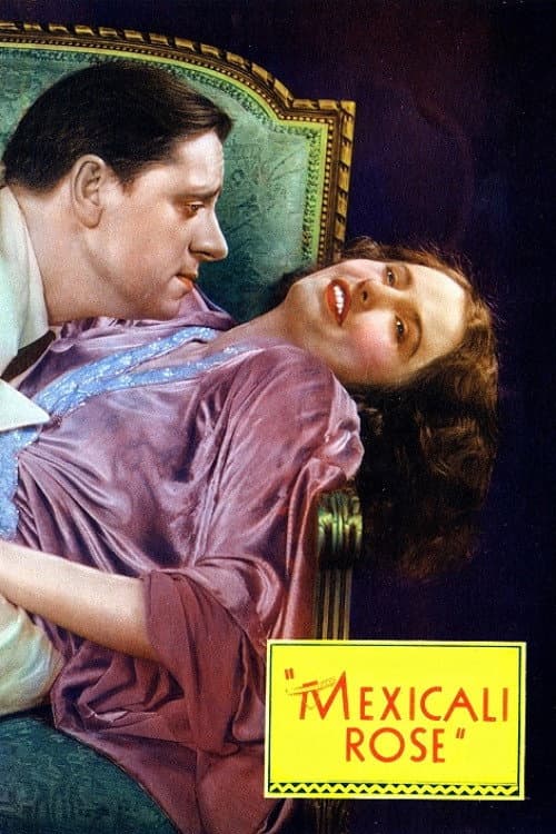 Mexicali Rose (1929) poster