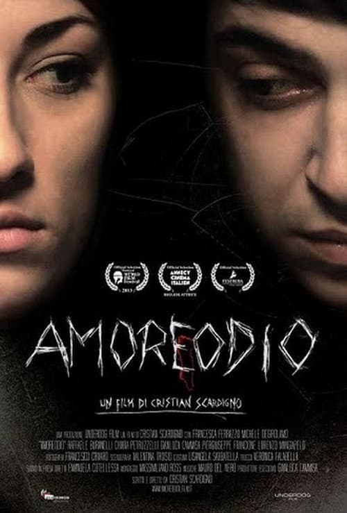 Amoreodio (2013) poster