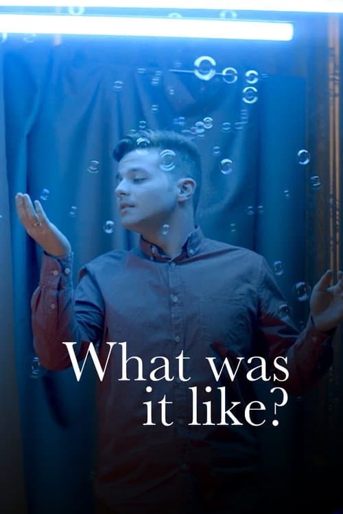 What Was It Like? (2020) poster