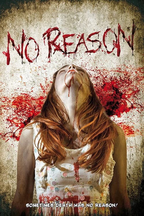 No Reason (2010) poster