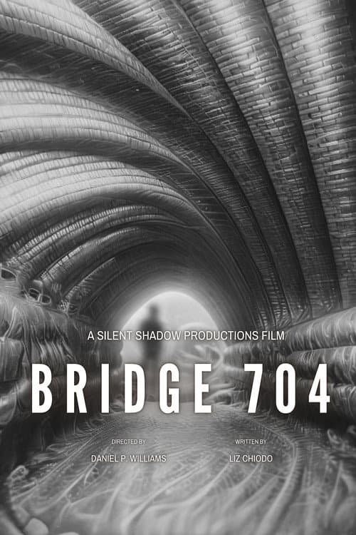Bridge 704 (2026) poster