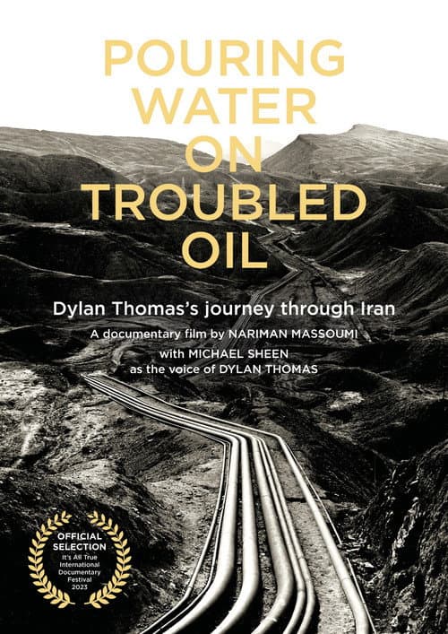 Pouring Water on Troubled Oil (2023) poster