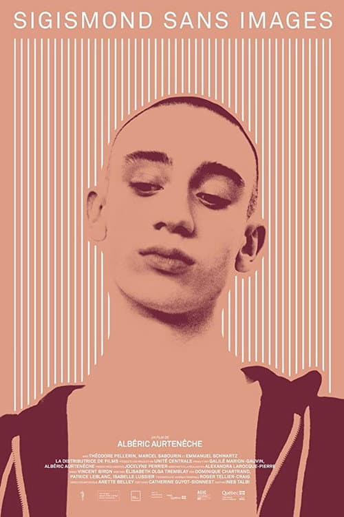 Sigismond sans images (2016) poster