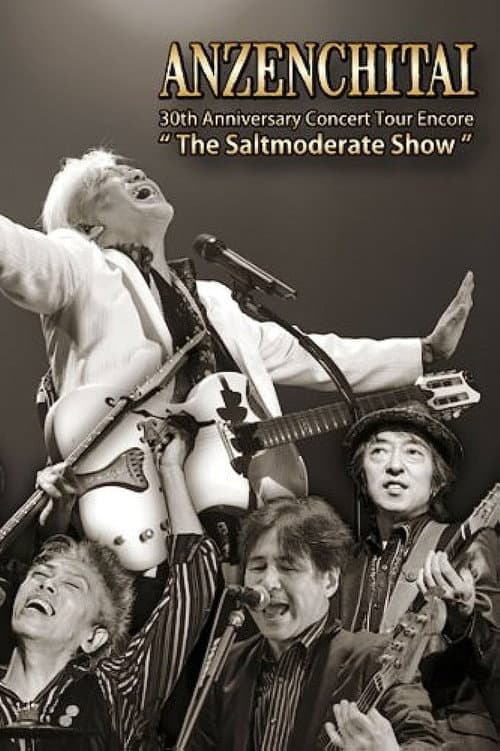 安全地带 The Saltmoderate Show 三十周年演唱会 (2013) poster