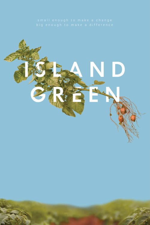 Island Green (2013) poster
