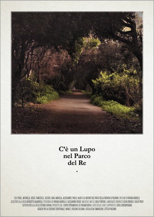 C'è un lupo nel parco del re (2020) poster
