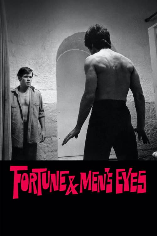 Fortune and Men's Eyes (1971) poster