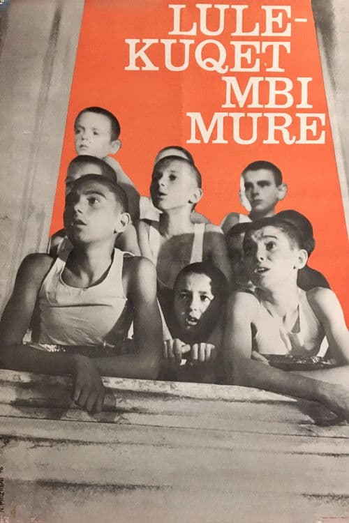 Lulëkuqet mbi mure (1976) poster