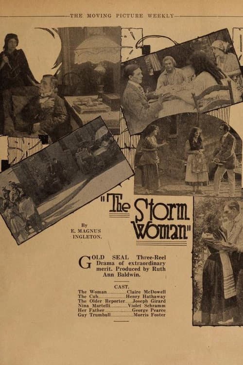 The Storm Woman (1917) poster